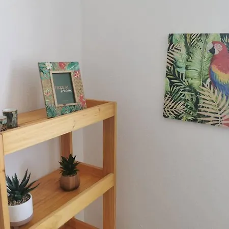 Centro De Con Vistas A Isla De Lobos Feriehus