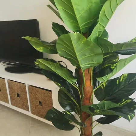 Centro De Con Vistas A Isla De Lobos *