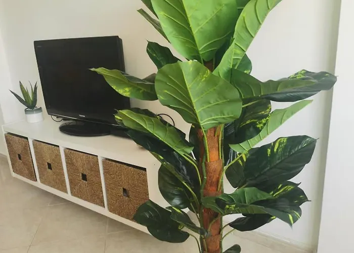 Centro De Con Vistas A Isla De Lobos *